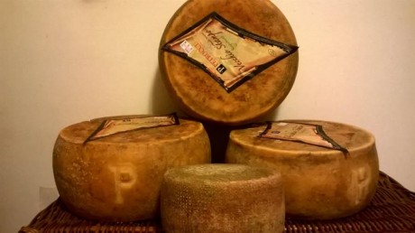 PECORINO