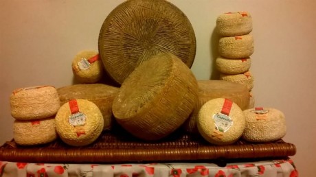 Formaggio di Capra